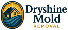 Dryshine Mold Removal
